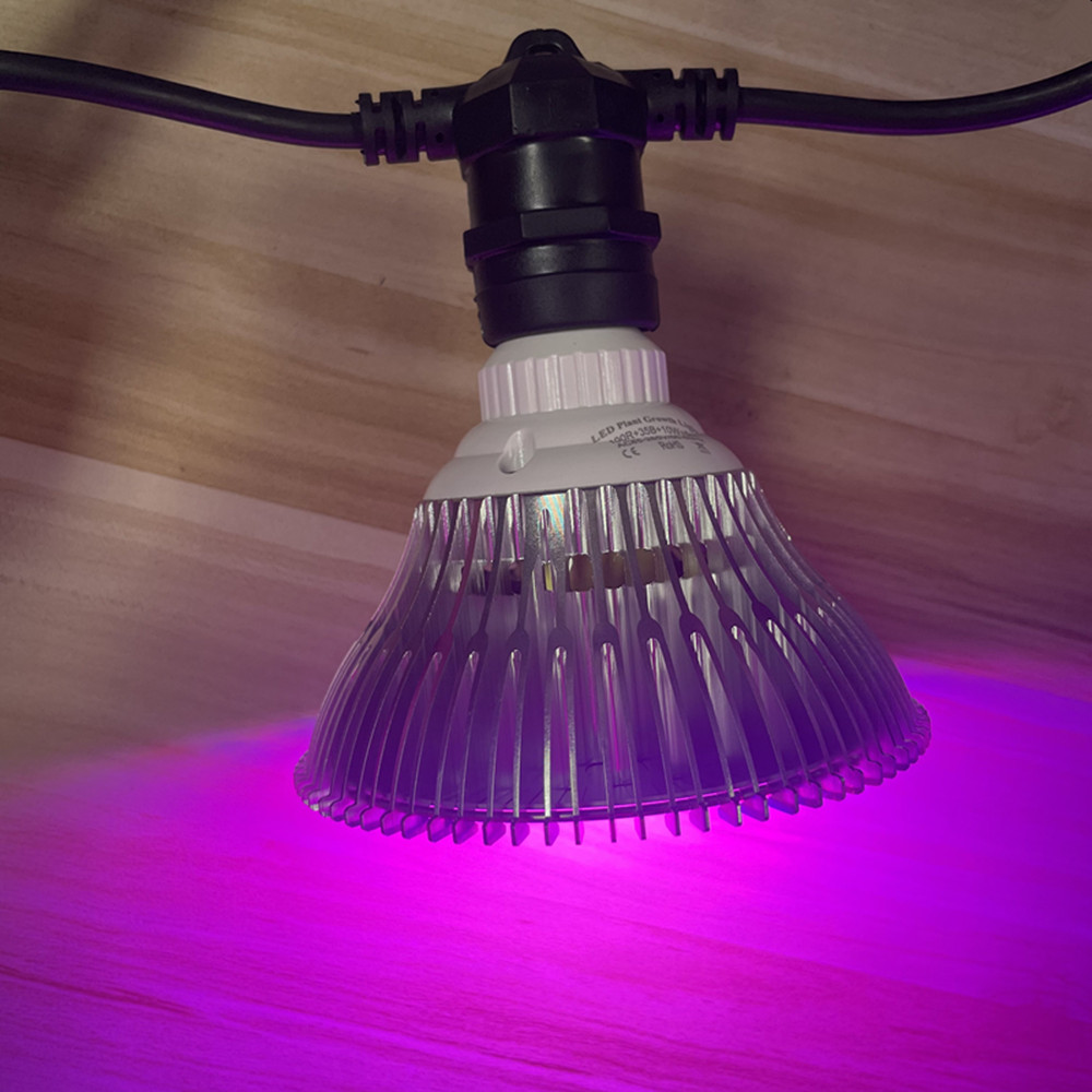 10M Kablo LED Dize Işık Zincir - Outdoor Lighting Manufacturers incelemesi ve fiyatı