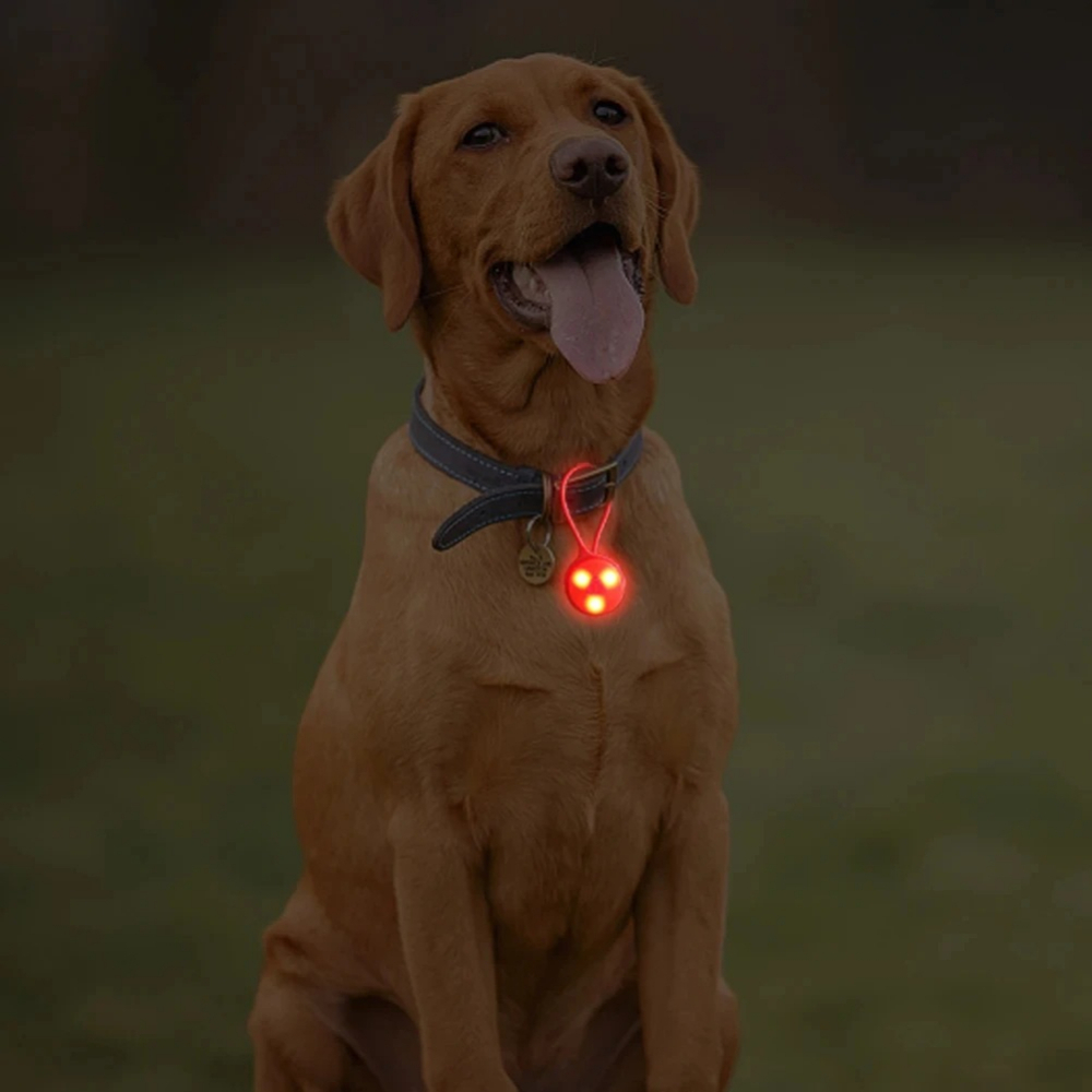Açık Hava Sırt Çantası Işıklar - Outdoor Lighting Led Strip incelemesi ve fiyatı